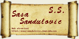 Saša Sandulović vizit kartica